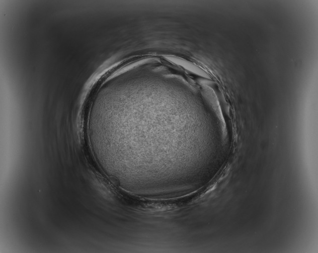 X0000086290343200704131552