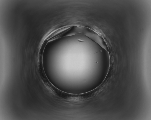 X0000086290344200704131552