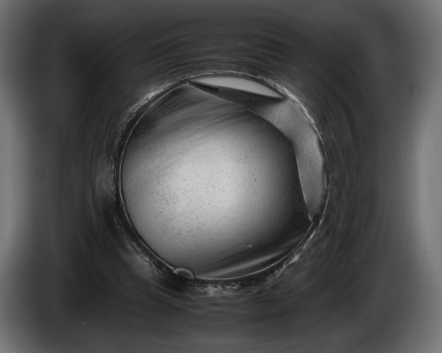 X0000086290345200704131552