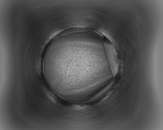 X0000086290346200704131552