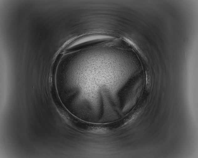 X0000086290348200704131553
