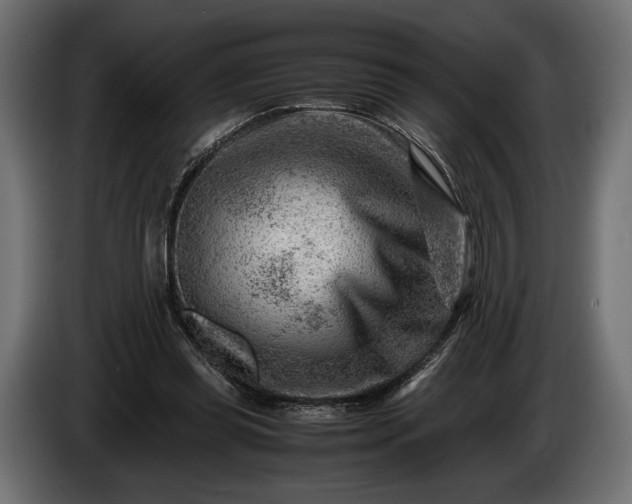 X0000086290349200704131553