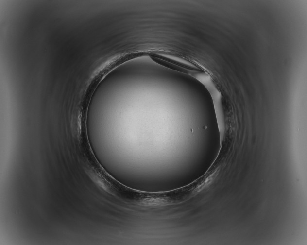 X0000086290350200704131553