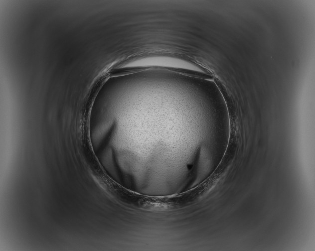 X0000086290352200704131553