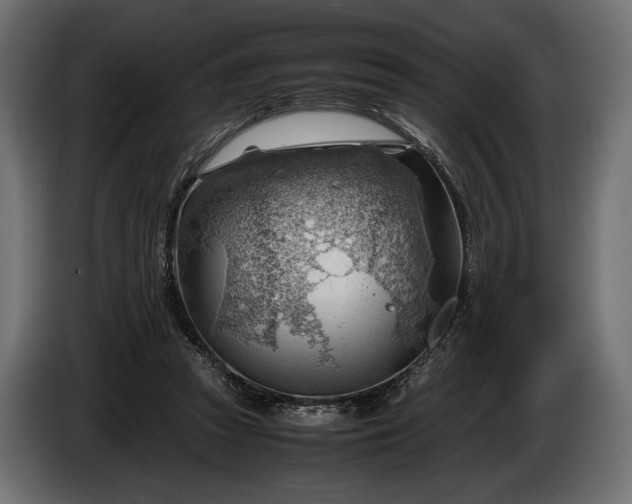 X0000086290353200704131553