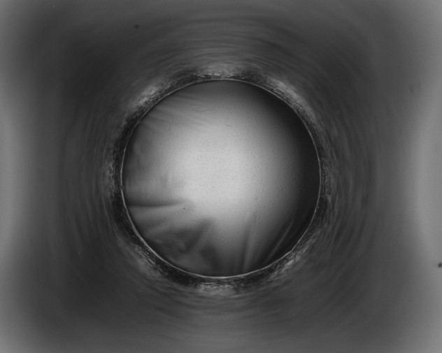 X0000086290354200704131553