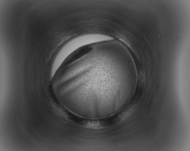 X0000086290355200704131553