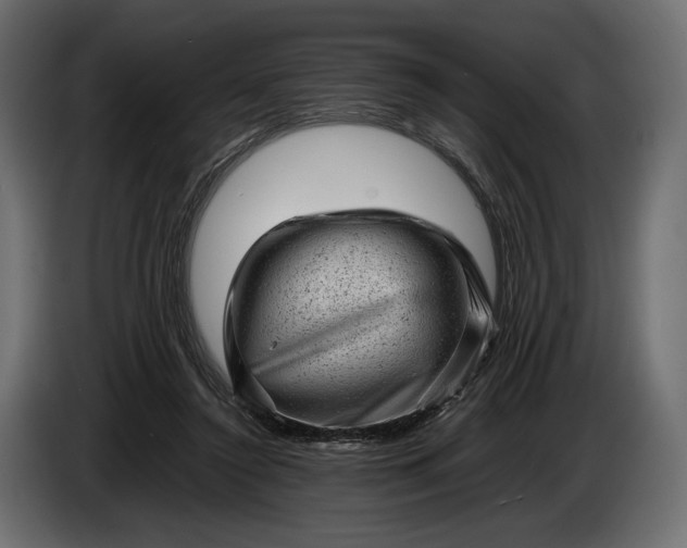 X0000086290356200704131553
