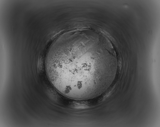 X0000086290359200704131553