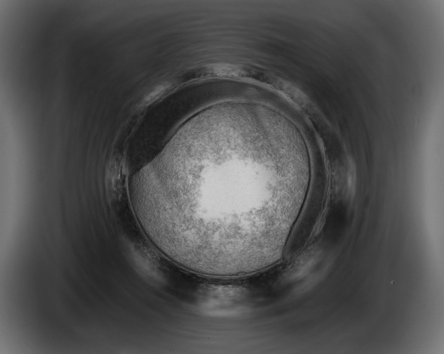 X0000086290360200704131553