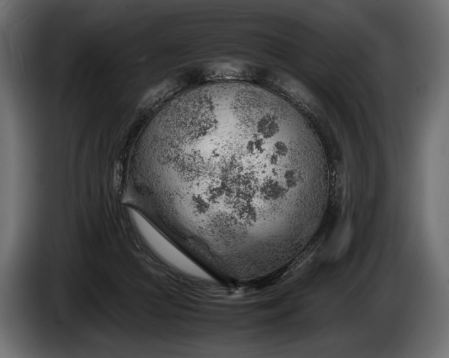 X0000086290361200704131553