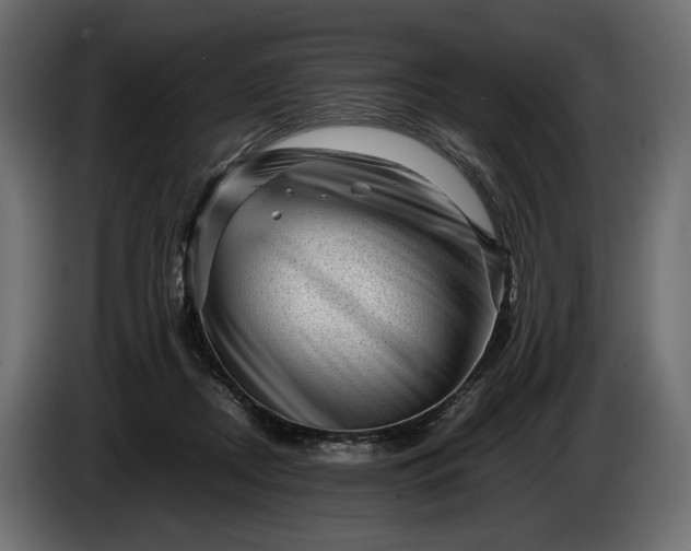 X0000086290362200704131553
