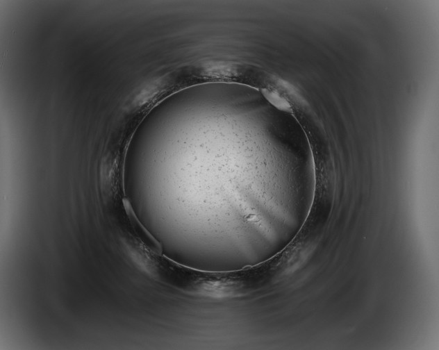 X0000086290364200704131553