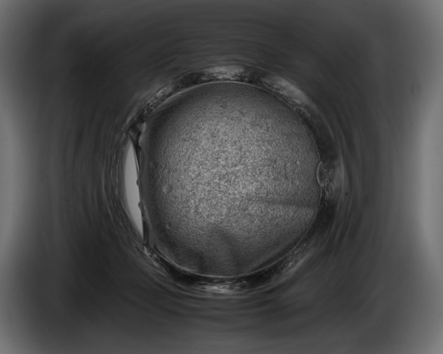 X0000086290365200704131553