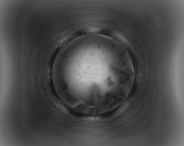 X0000086290366200704131553