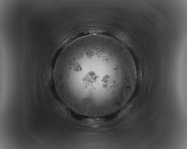 X0000086290367200704131553