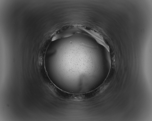 X0000086290368200704131553