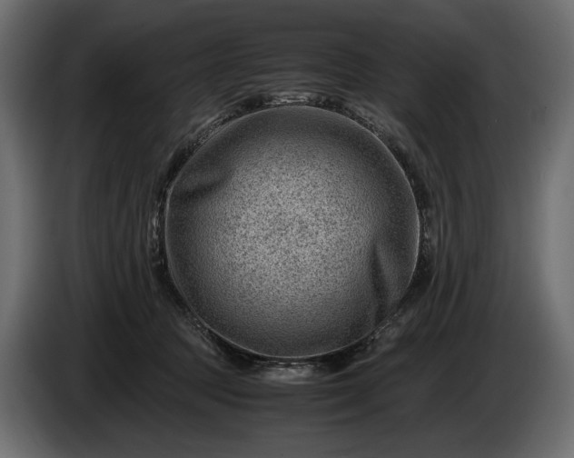 X0000086290369200704131553