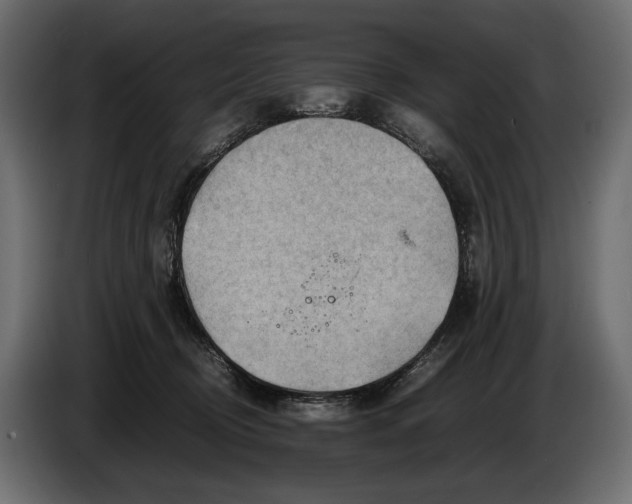 X0000086290370200704131553
