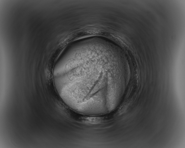 X0000086290371200704131553