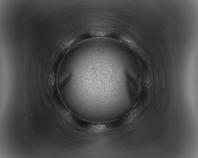 X0000086290374200704131553