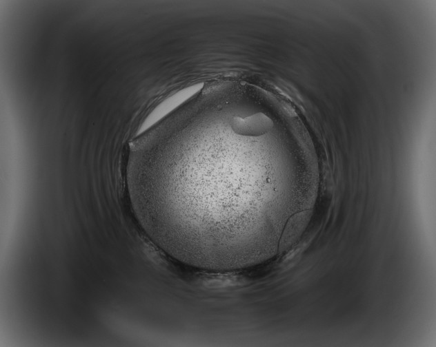 X0000086290377200704131553