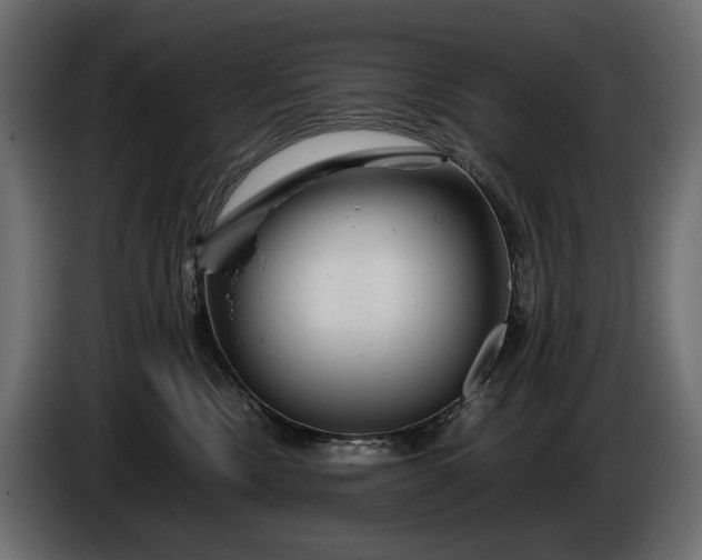 X0000086290378200704131553