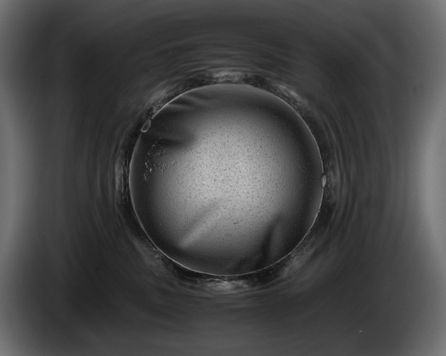 X0000086290379200704131553