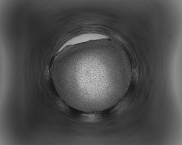 X0000086290381200704131553