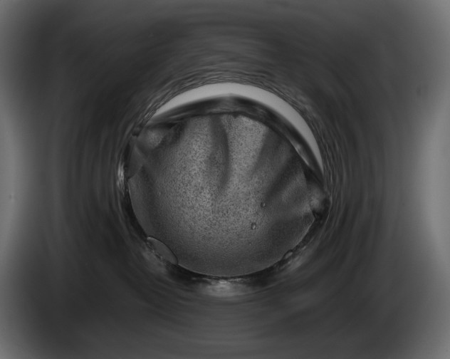 X0000086290382200704131553