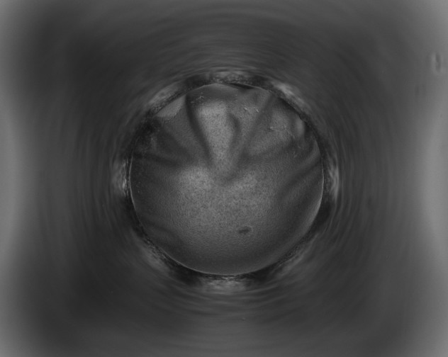 X0000086290383200704131553