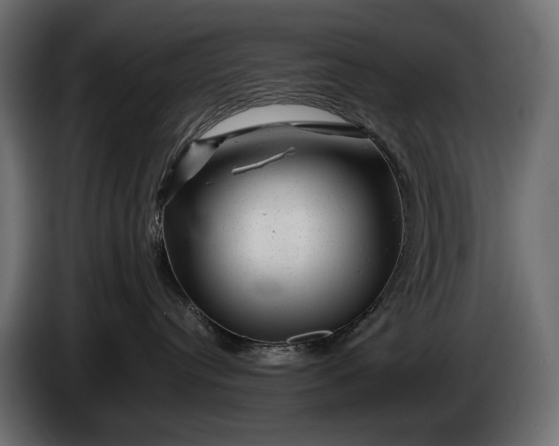 X0000086290384200704131553