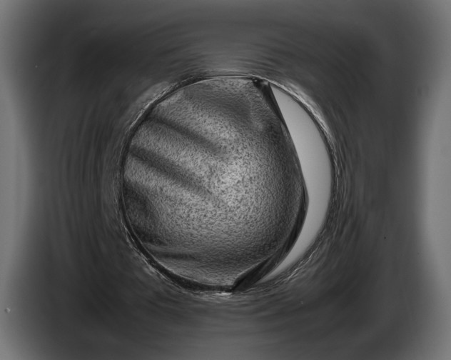 X0000086290385200704131552