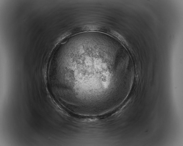 X0000086290386200704131552