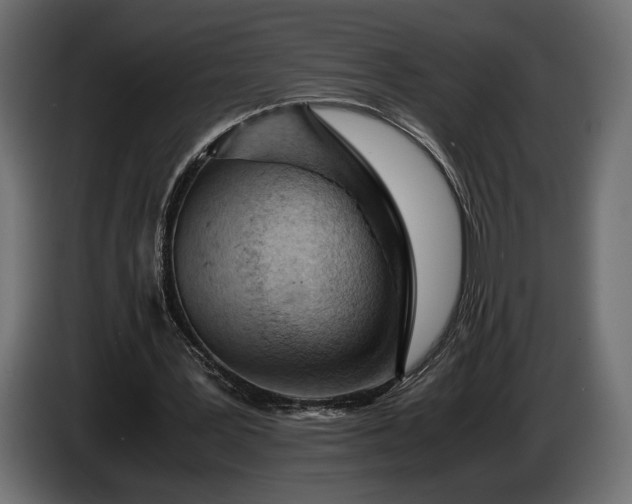 X0000086290387200704131552