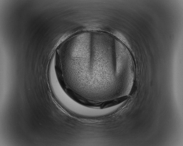 X0000086290389200704131552