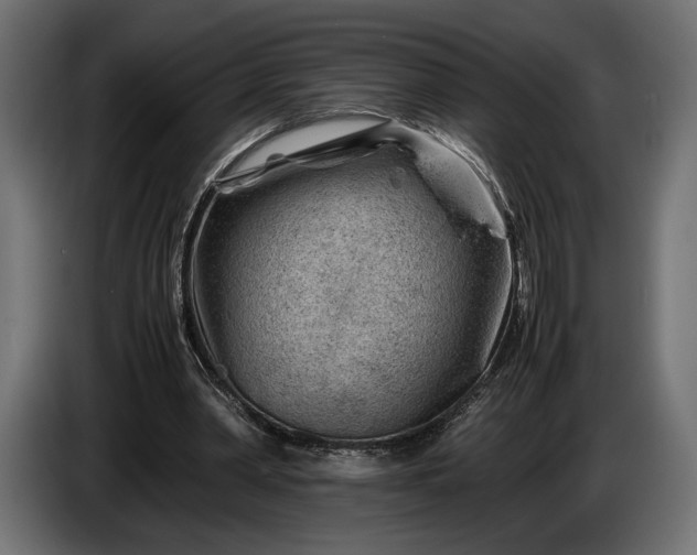 X0000086290390200704131552