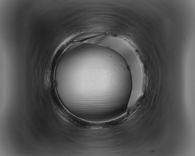 X0000086290392200704131552