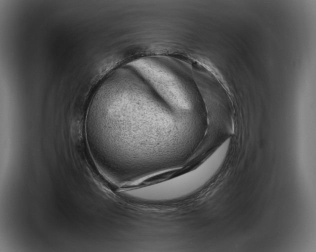 X0000086290393200704131552