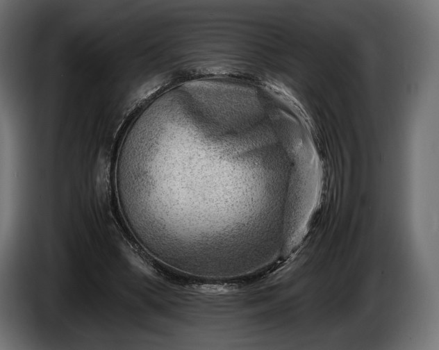 X0000086290394200704131552