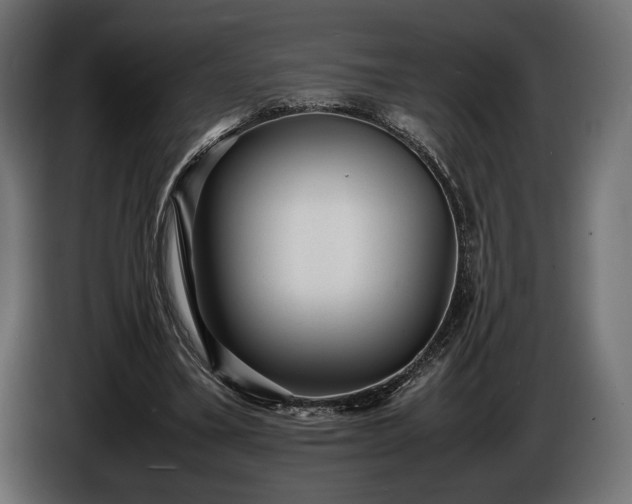 X0000086290395200704131552
