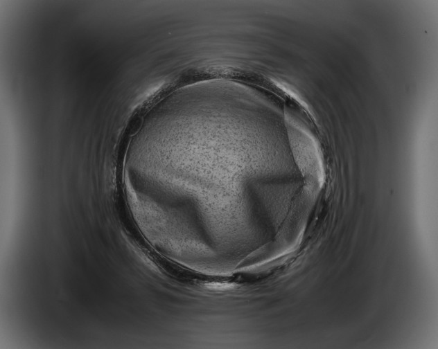 X0000086290399200704131552