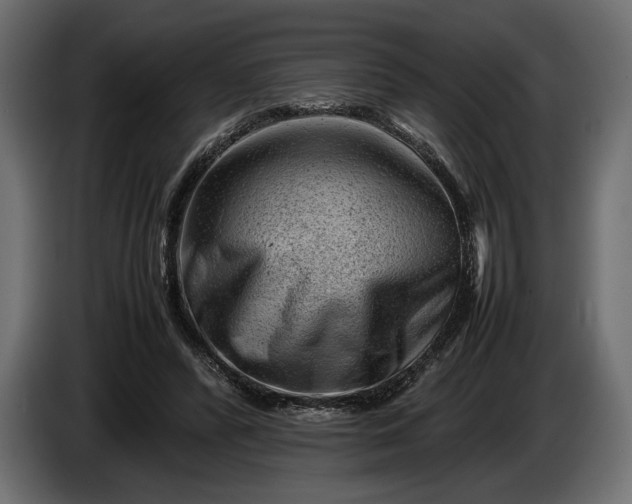 X0000086290400200704131552