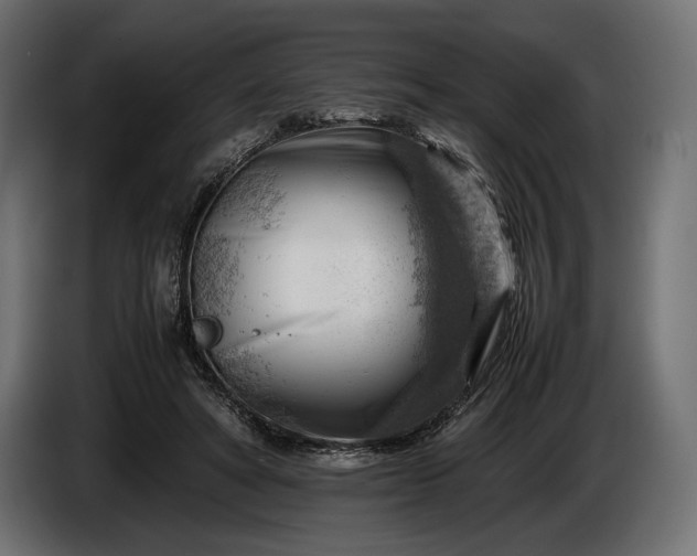 X0000086290402200704131552