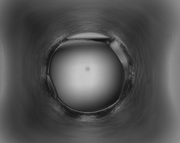 X0000086290403200704131552