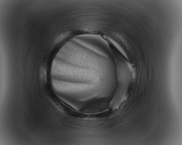 X0000086290404200704131552
