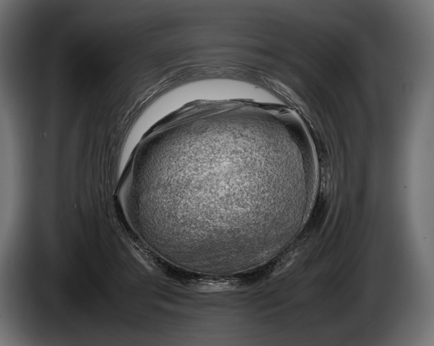 X0000086290405200704131552