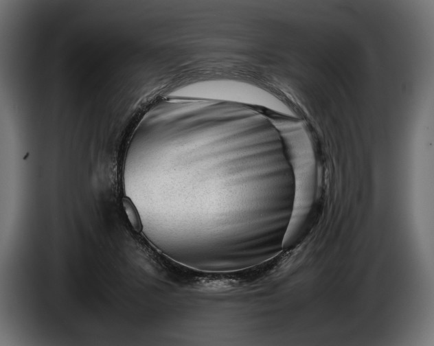 X0000086290407200704131552