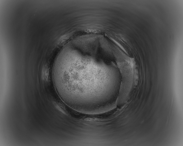 X0000086290408200704131552