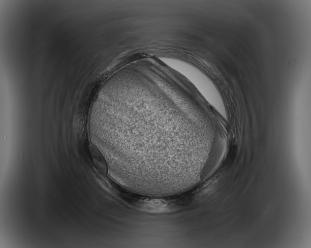 X0000086290409200704131552